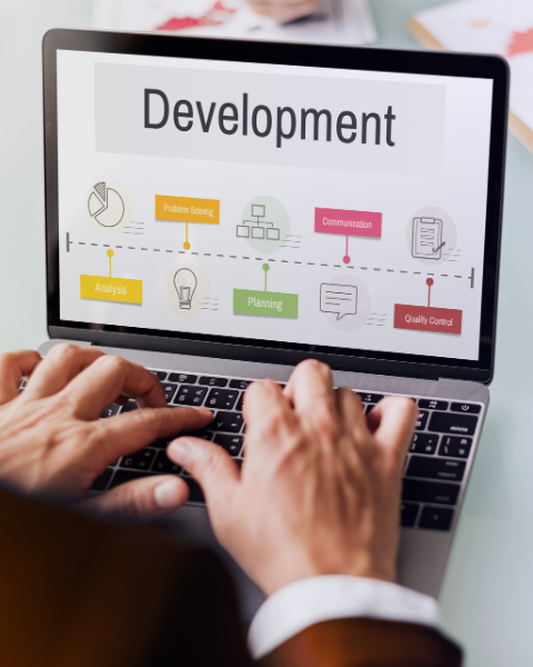 Web Design & Development